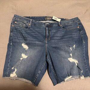 Torrid Distressed Jean Bermuda Shorts